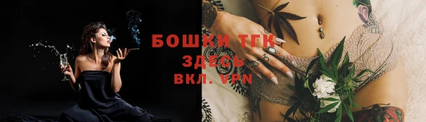 ALPHA PVP Осинники