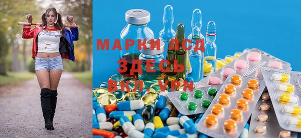 spice Баксан