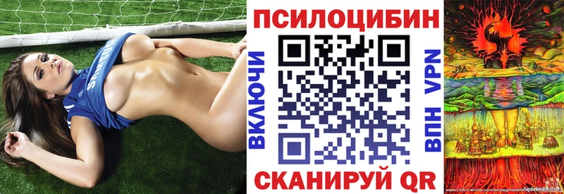omg tor  Верхний Тагил  Галлюциногенные грибы GOLDEN TEACHER 